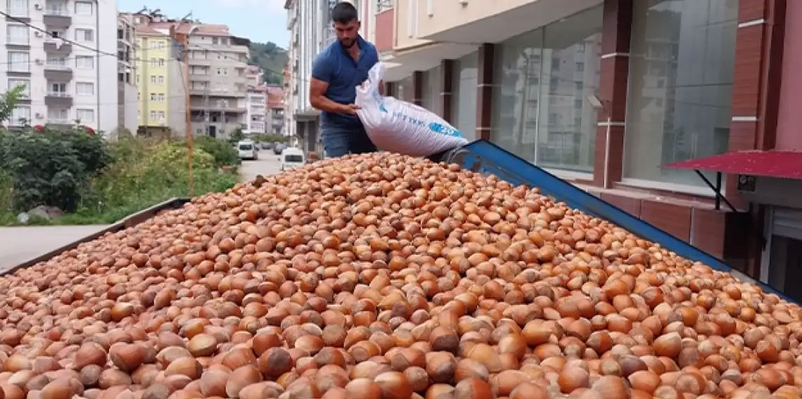 Türkiye fındıktan 42 milyar dolar kazandı