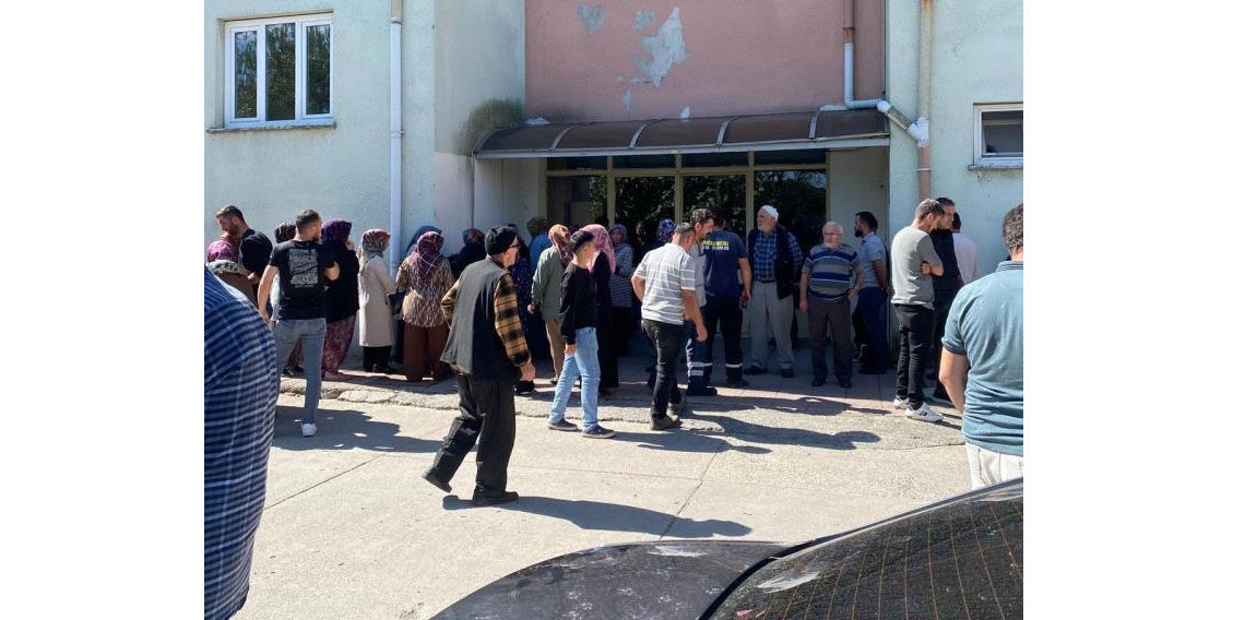 Ceviz toplarken elektrik akımına kapılarak hayatını kaybetti