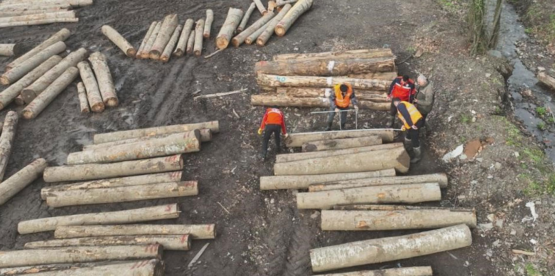 Düzce'den 9 bin 967,5 ton orman ürünü ihraç edildi