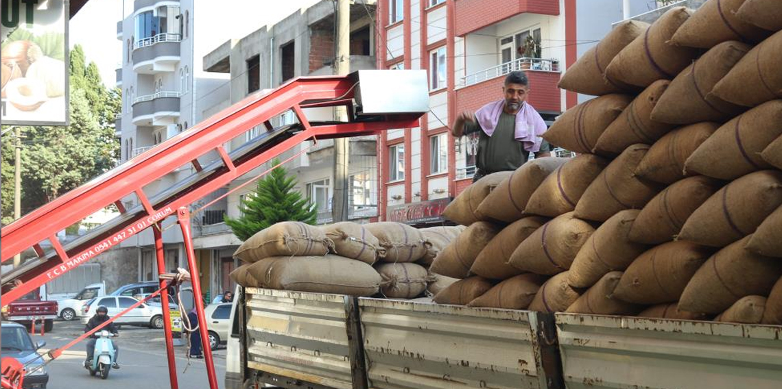 Giresun'da tüccarlar fındık fiyatı konusunda farklı görüşte