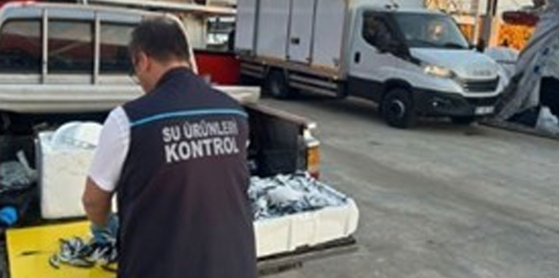 Trabzon’da usulsüz hamsi çıkışına 37 bin TL ceza