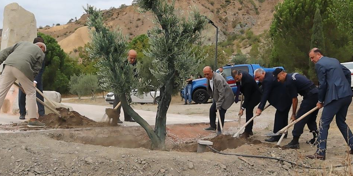Baltacı Mehmet Paşa anısına asırlık zeytin ağacı dikildi