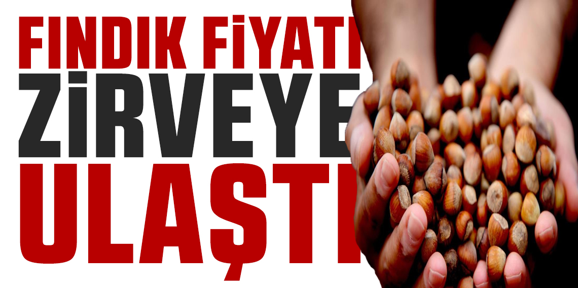 Giresun fındığı zirvede: Kilosu 352 TL’ye ulaştı