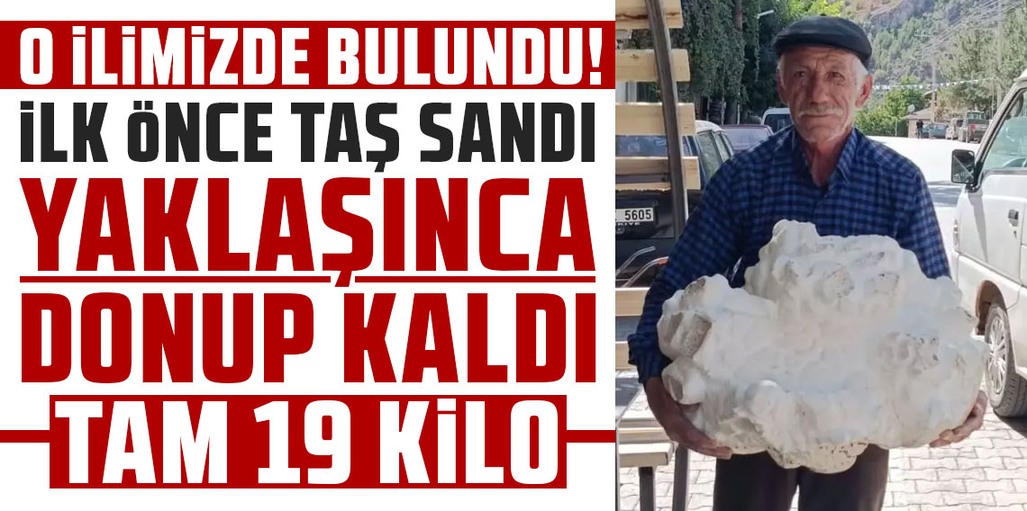 Konya'nın bir köyünde bulundu! İlk önce taş sandı, yaklaşınca donup kaldı