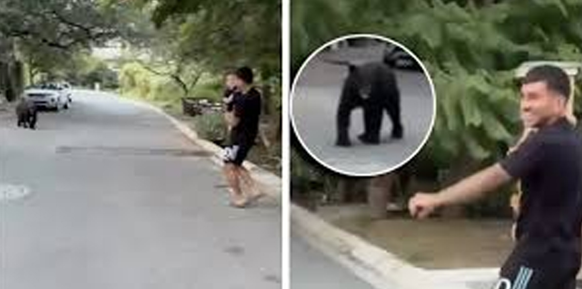 Biraz da gülelim! Yıldız oyuncuyu ‘Ayı’ kovaladı!