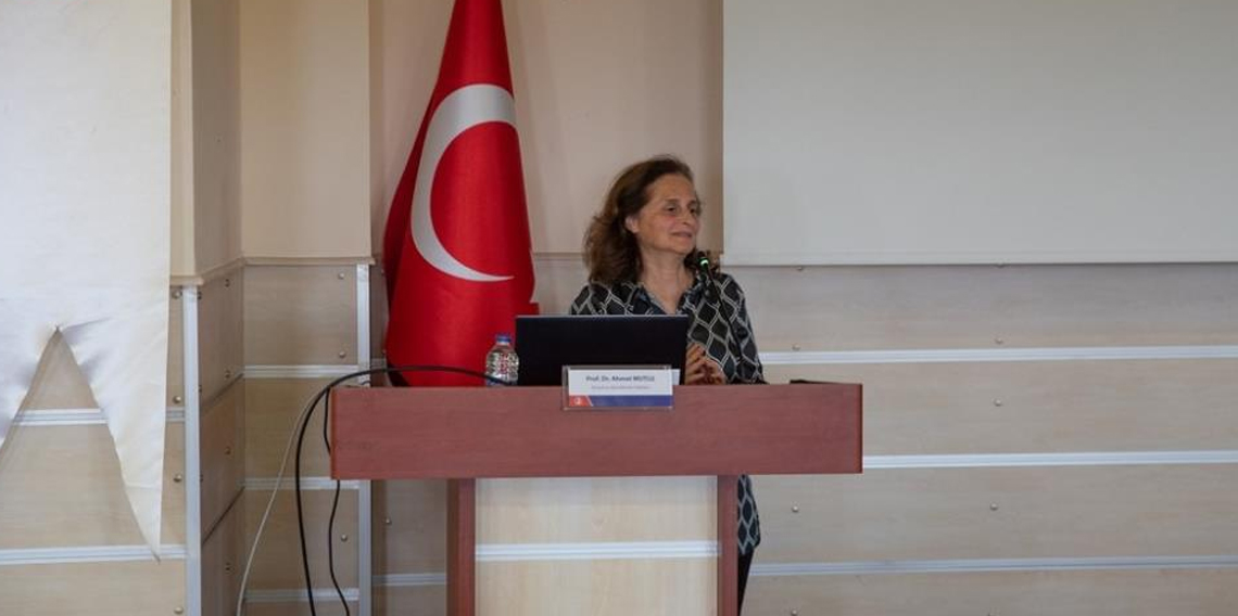 Prof. Dr. Kuleyin: 