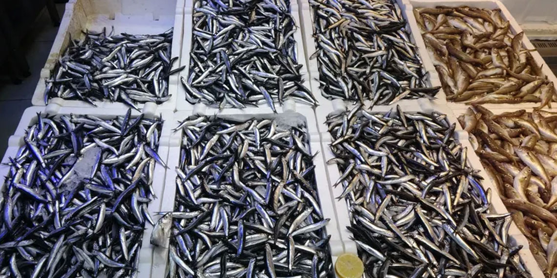 Balıkçılardan 'Patlatılan insansız deniz araçları hamsiyi kaçırttı' iddiası