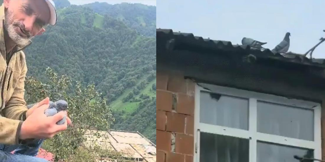 Köy sakininin dikkati ve duyarlılığı bir güvercini hayata bağladı