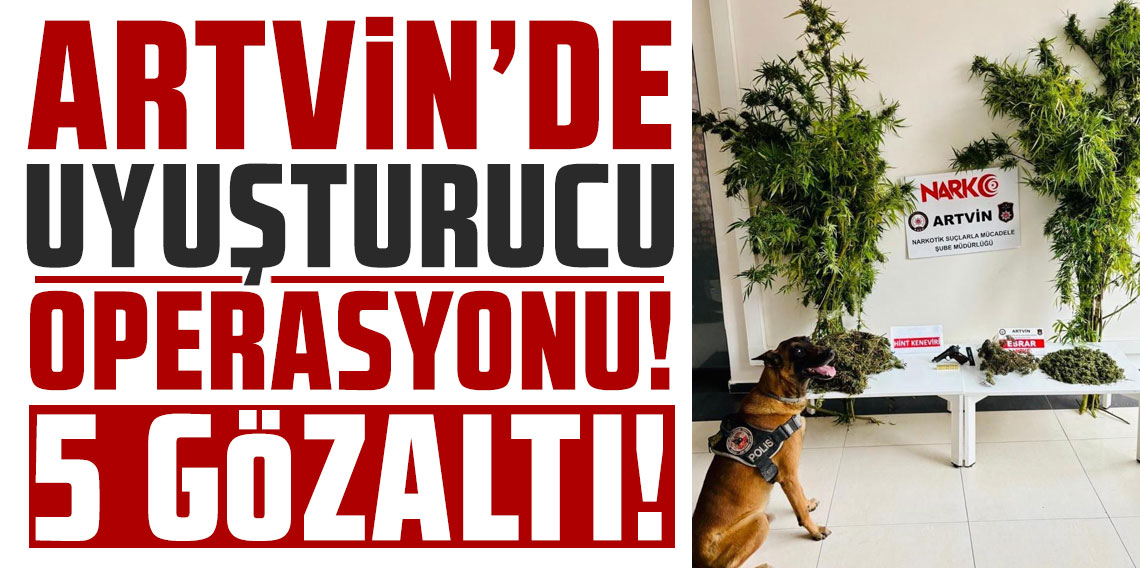 Artvin’de uyuşturucu operasyonu: 5 gözaltı