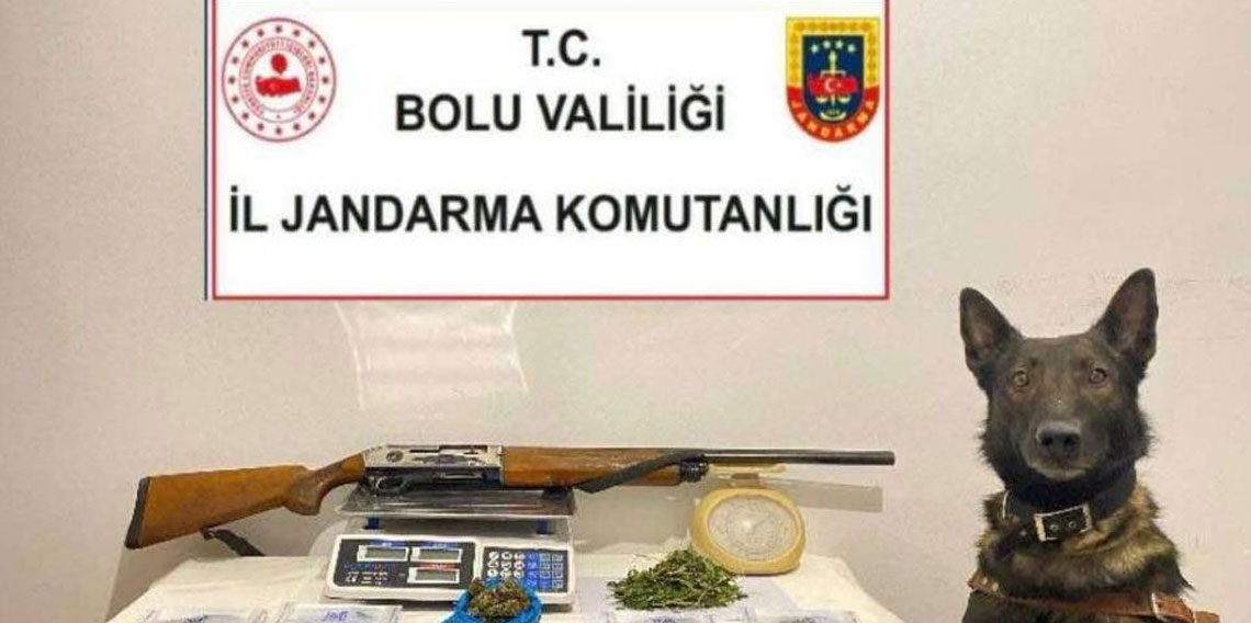 Bolu'da uyuşturucu operasyonu: 1 tutuklama