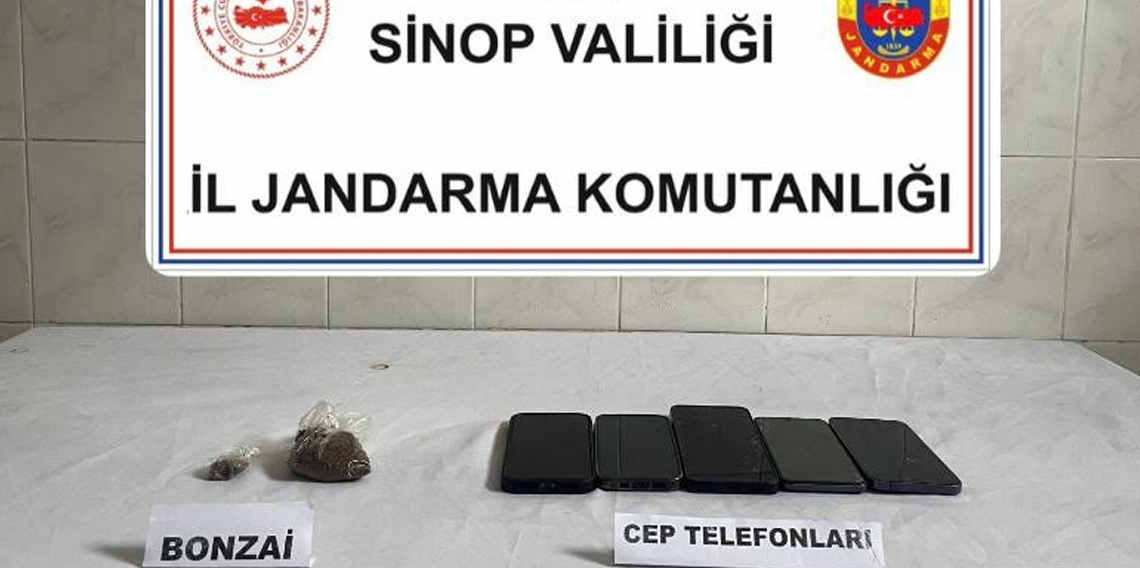 Sinop'ta bonzai ele geçirildi: 1 kişi tutuklandı