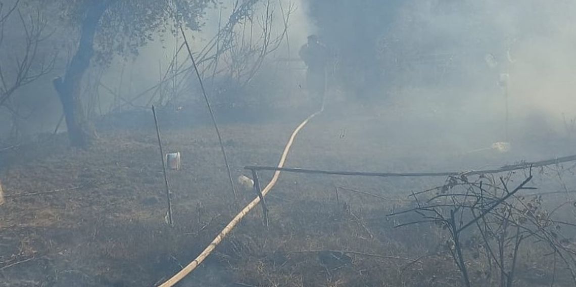 Antakya’da zeytinlik alanda yangın