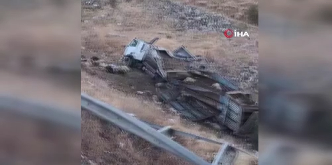 Bingöl’de hayvan taşıyan kamyon şarampole yuvarlandı: 2 yaralı, çok sayıda küçükbaş telef oldu