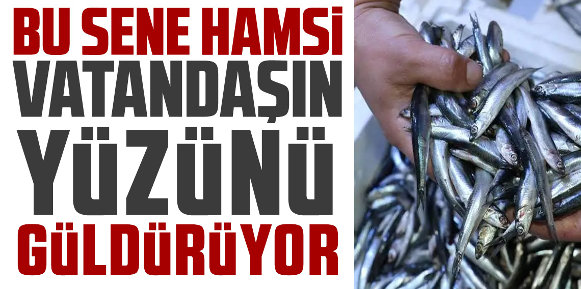 Karadeniz'de hamsi yoğunluğu devam ediyor