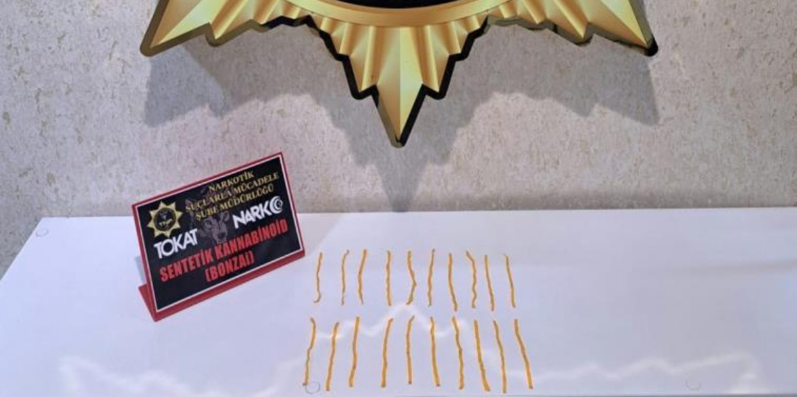 Tokat'ta uyuşturucu operasyonu, 500 içimlik bonzai ele geçirildi