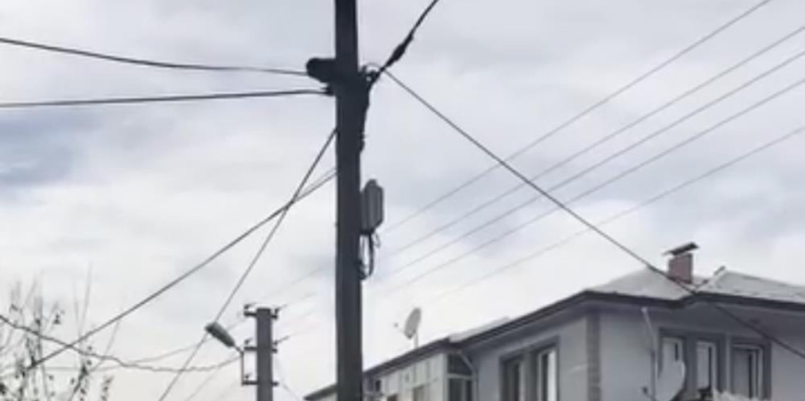 Köpeklerden kaçtı, direkte mahsur kaldı