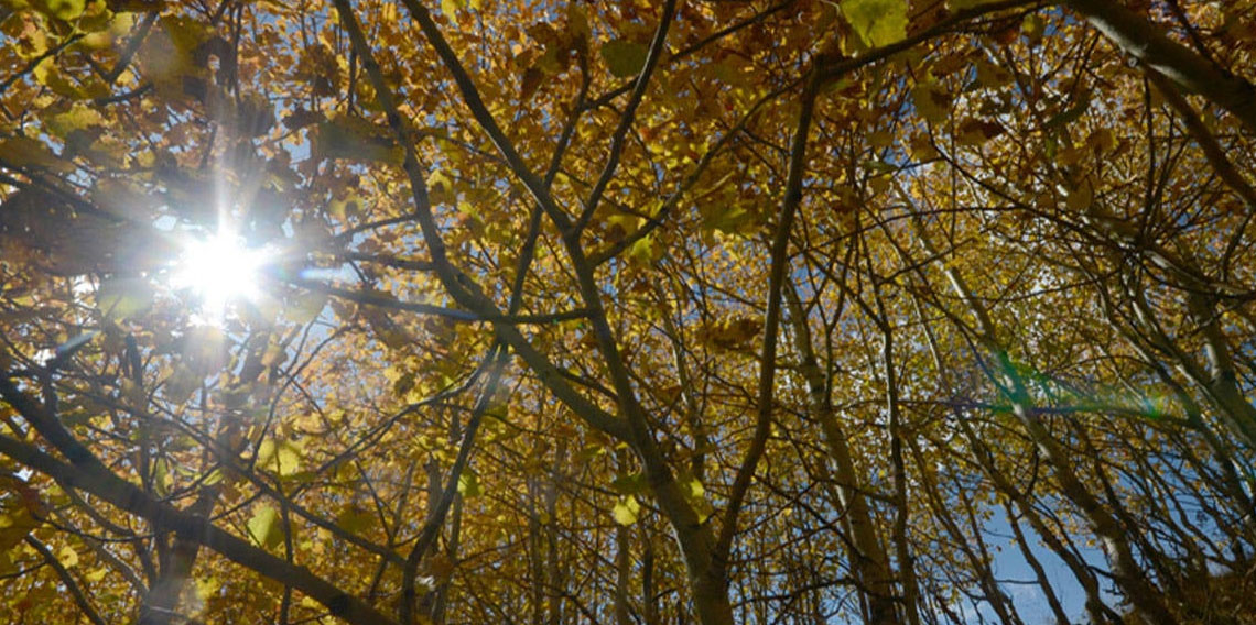 Meteoroloji raporu yayımlandı: Sıcaklıklar artıyor