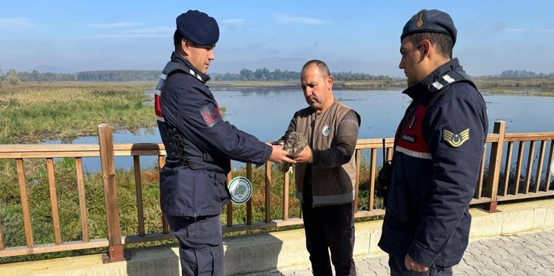 Jandarmanın hayvan sevgisi