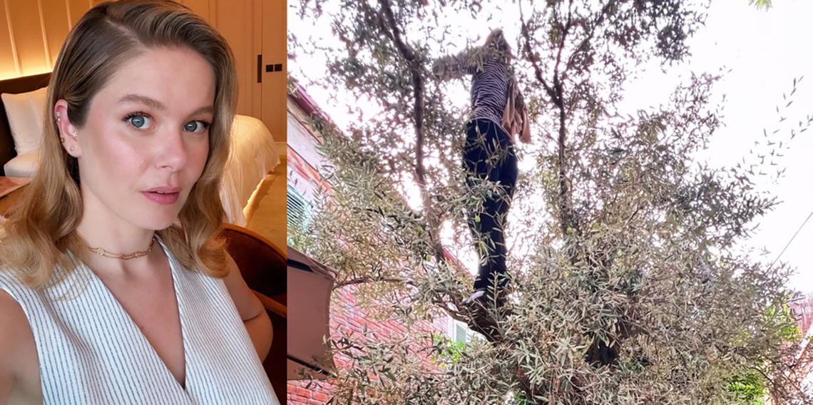 Burcu Biricik'ten zeytin hasadı