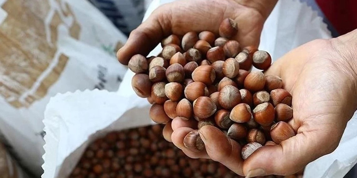 Fındık ihracatında Eylül ayında yüzde 56 düşüş