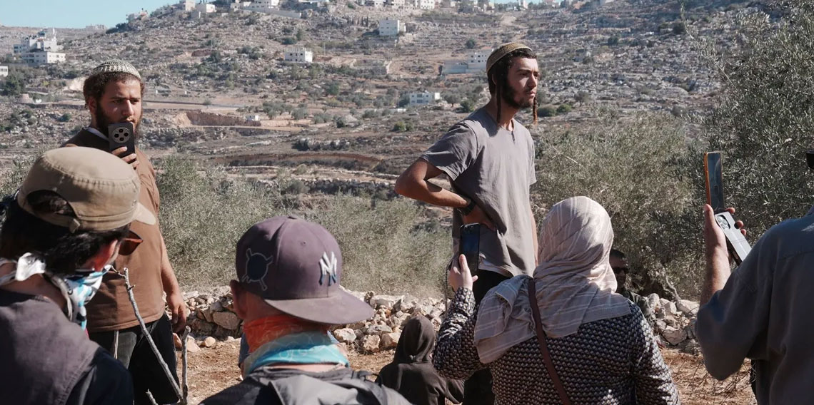 İsrail zulmünün öteki yüzü: Zeytin ağaçları neden hedef alınıyor