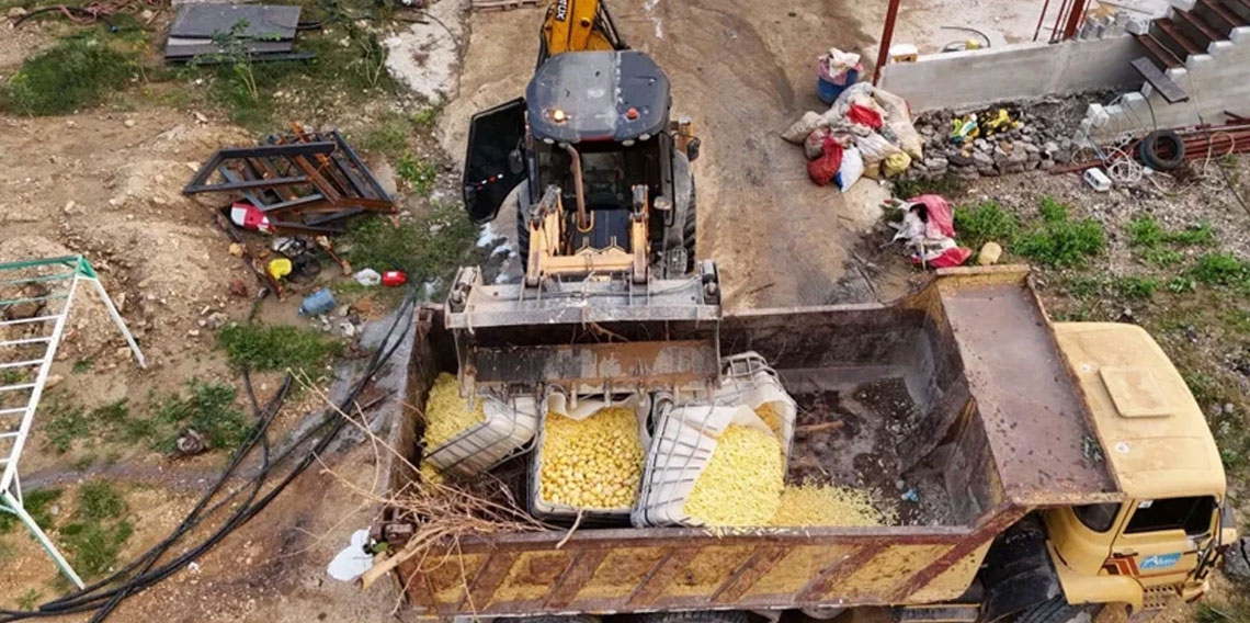 Antalya'da sağlıksız patates üretimi yapan işletmeye baskın