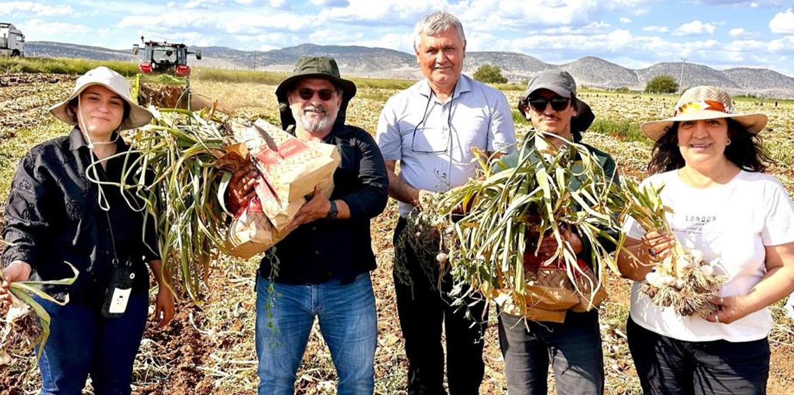 KBÜ, sarımsakta Fusarium hastalıklarına karşı bilimsel çözüm geliştirdi