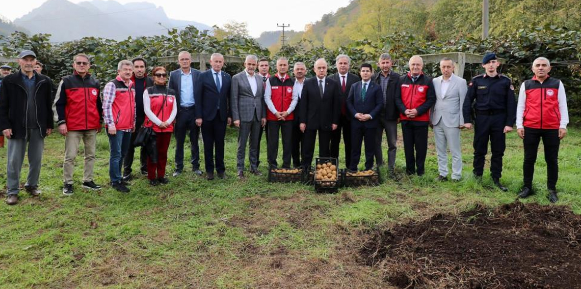 Tescilli Ordu kivisinde hasat başladı