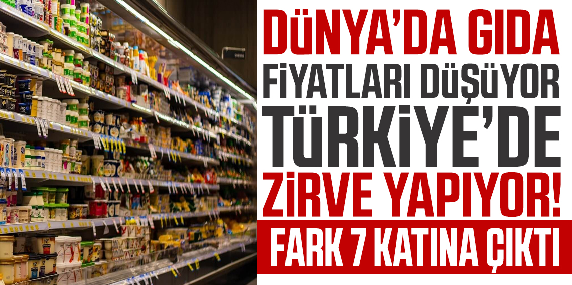 Dünyada Gıda Fiyatları Düşüyor, Türkiye’de Enflasyon Zirvede: FAO ve TÜİK Verileri Arasında 7 Kat Fark!