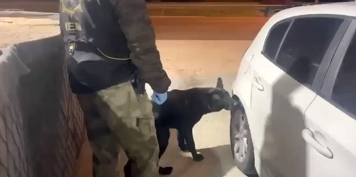 Narkotik köpeği Tony bagajdaki uyuşturucuyu buldu