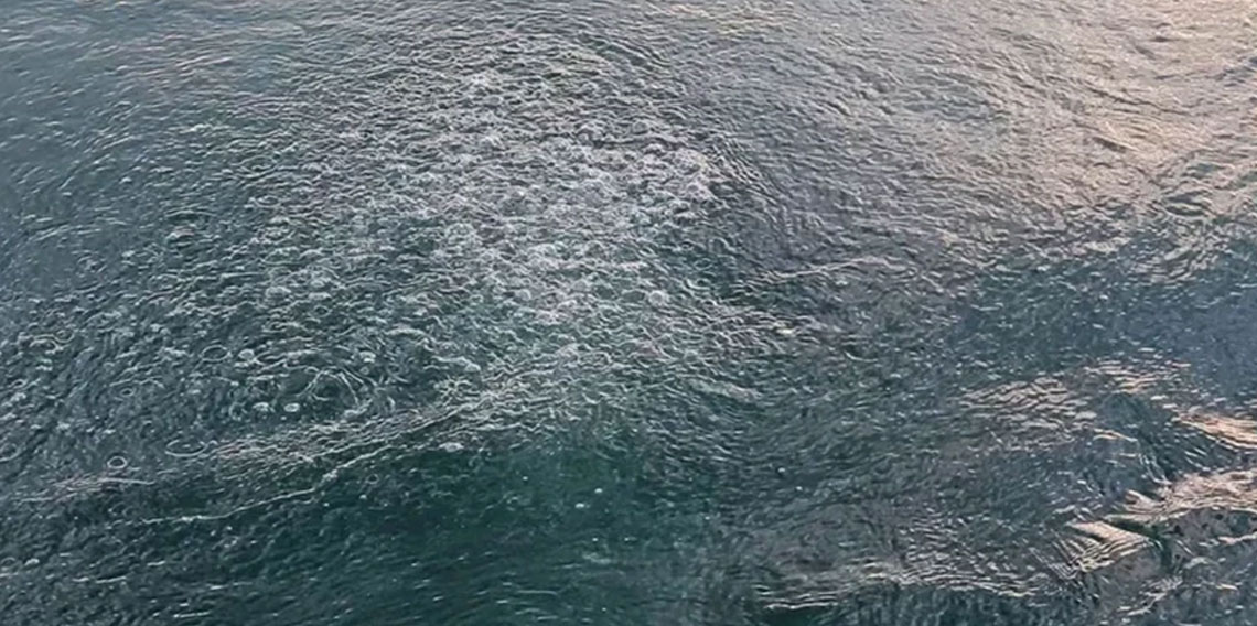 Sapanca Gölü'nde endişe yaratan görüntü