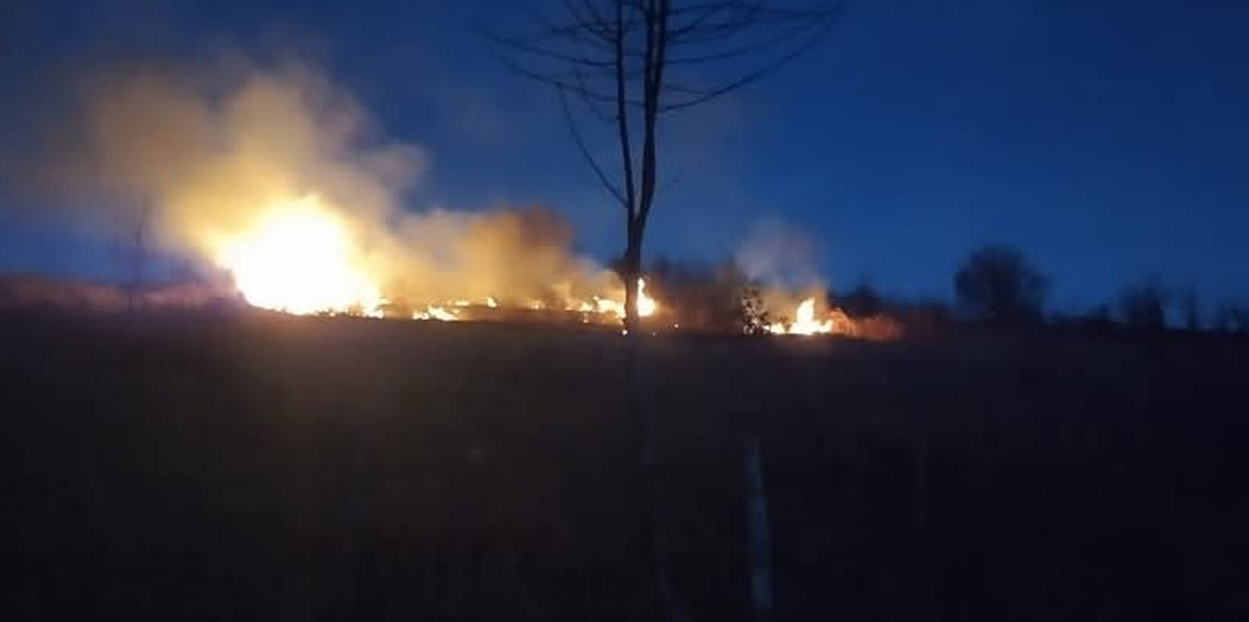 Ordu'da fındık bahçesinde yangın!