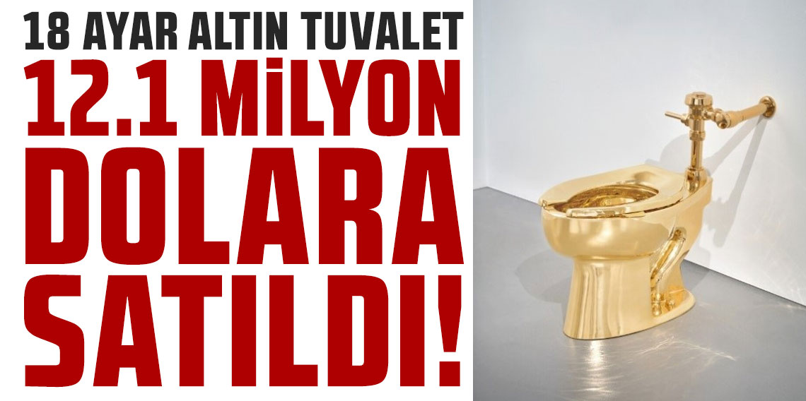 ABD'de 18 ayar altın tuvalet 12.1 milyon dolara satıldı