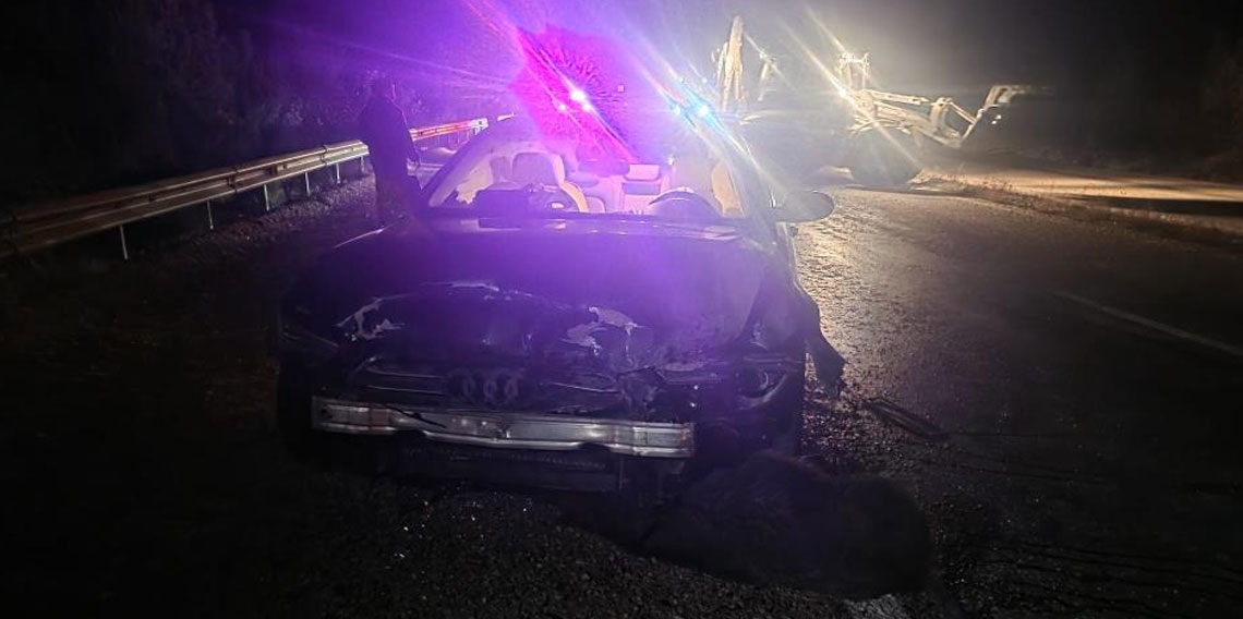 Sinop Belediye Başkanı'nın makam aracı domuz sürüsüne çarptı