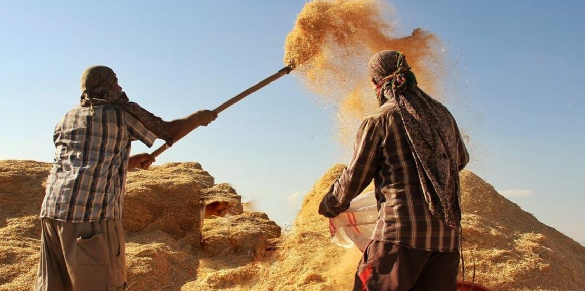 Tarım-GFE yıllık yüzde 34,60 arttı