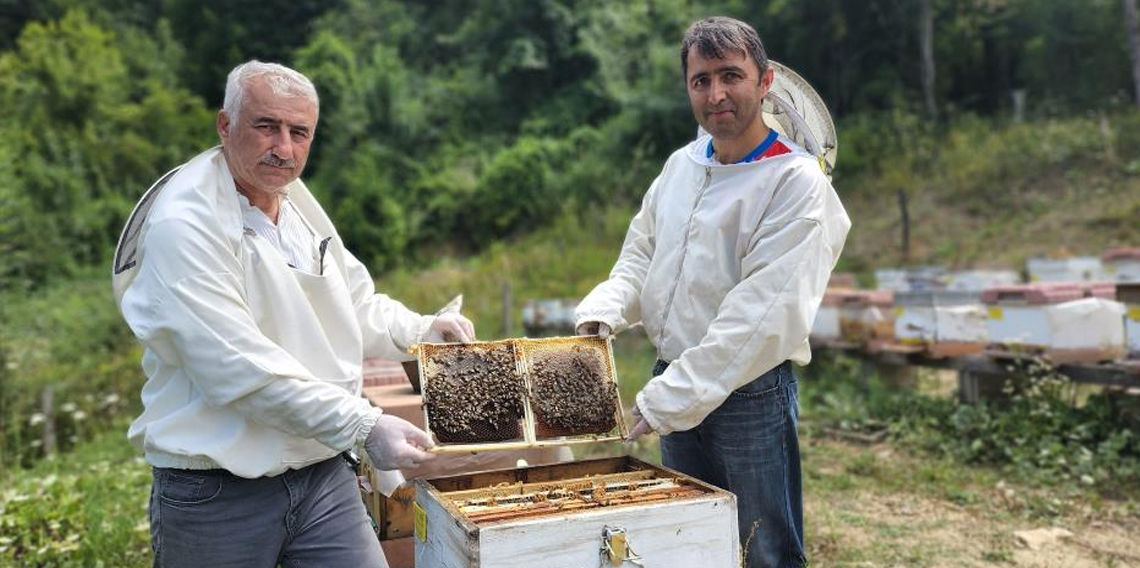 Türkiye’nin AB tescilli 43’üncü ürünü Yenice ıhlamur balı oldu