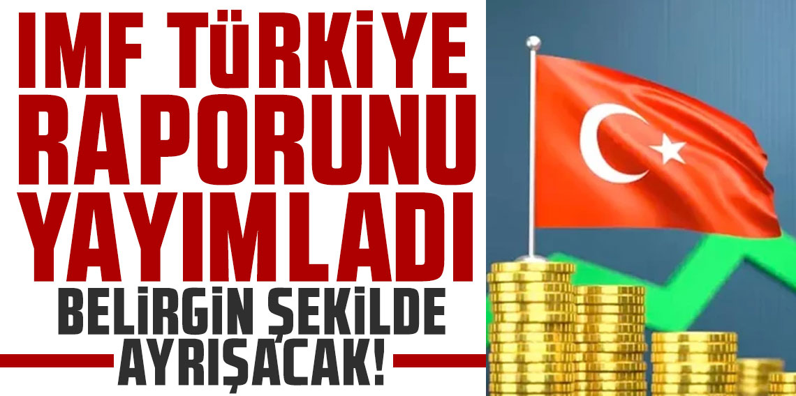 IMF Türkiye raporunu yayımladı: Belirgin şekilde ayrışacak