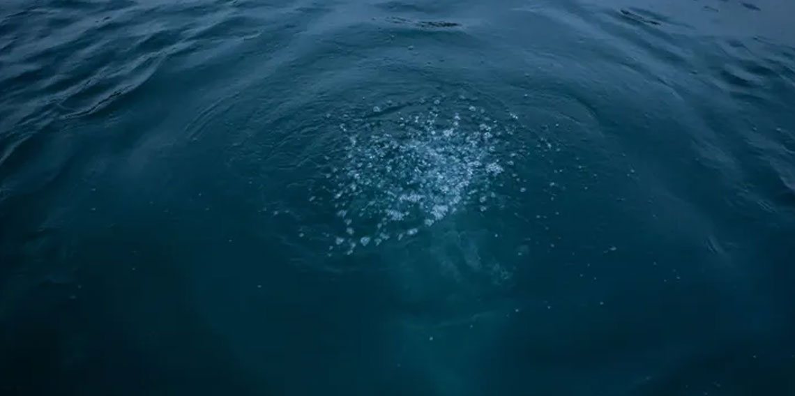 Sapanca Gölü'ndeki kabarcıkların sebebi belli oldu