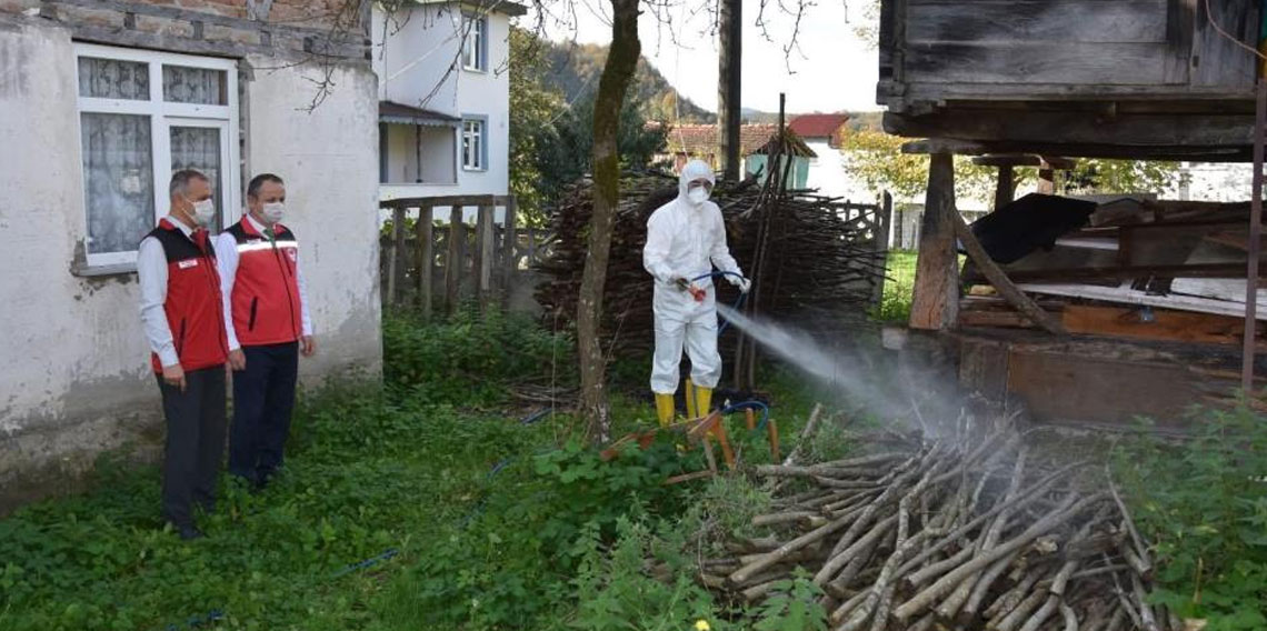 Ordu’da kokarcaya karşı 330 bin kışlak ilaçlanacak