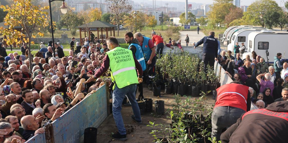 Yomra Belediyesi Elma ve Armut fidesi dagıttı