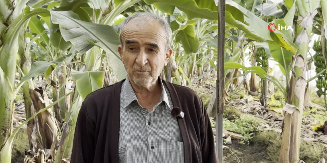 Hırsızlar muz ve avokado hasadı yaptı