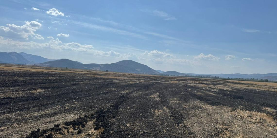 26 kamyon dolusu arıtma çamurunu açık araziye döktüler