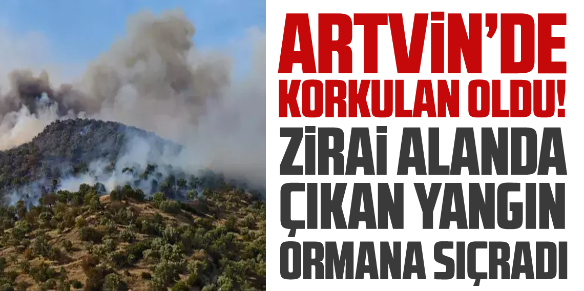 Artvin'de Korkulan oldu! Zirai alanda başlayan yangın ormana sıçradı