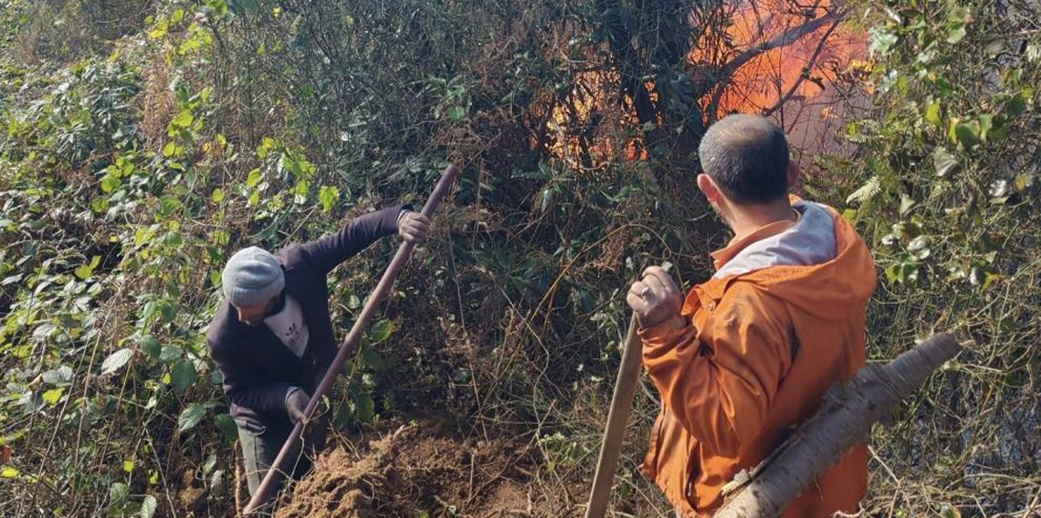 Artvin Hopa'da 5 hektarlık alanı küle çeviren yangınla mücadele sürüyor