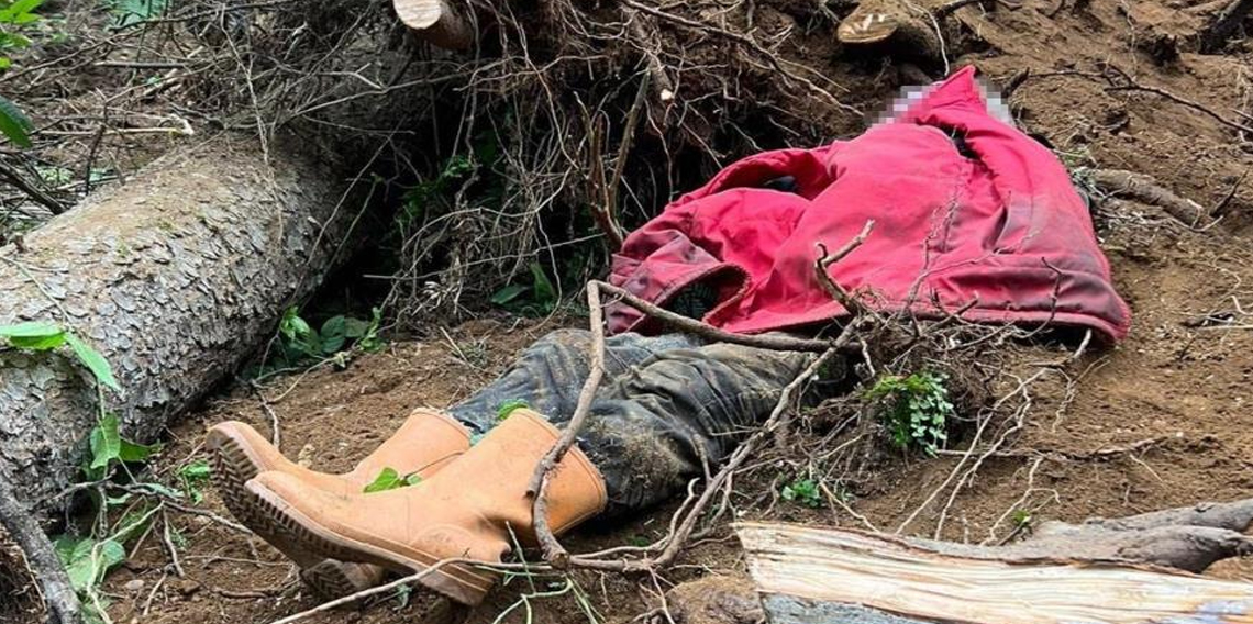 Trabzon'da Kestiği ağacın altında kalan bir kişi hayatını kaybetti
