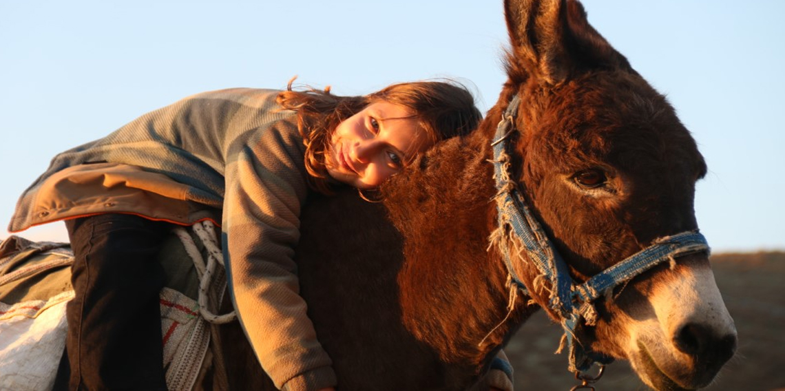 Küçük kız baba mesleği çobanlığı devam ettiriyor