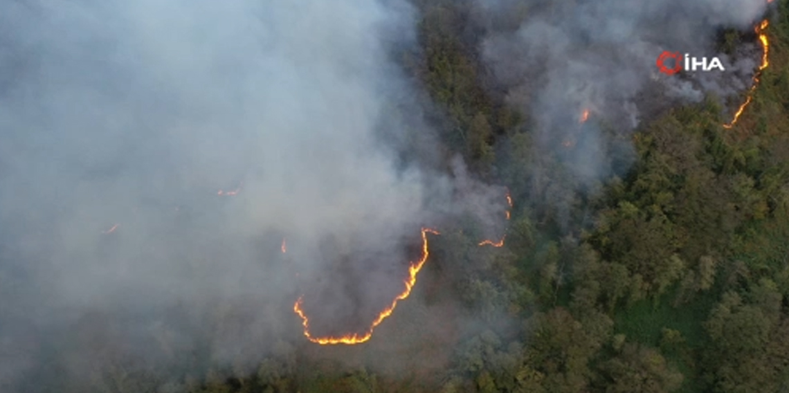 Hopa’daki orman yangını söndürüldü, soğutma çalışmaları sürüyor
