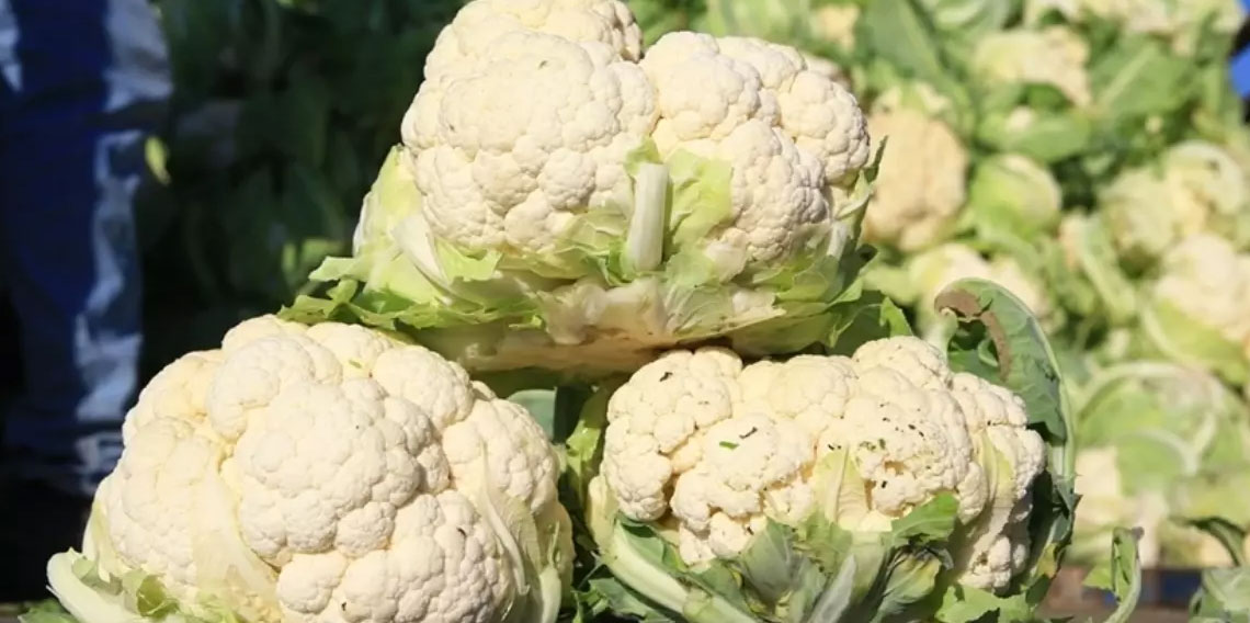 Bilet fiyatları artarken, karnabahar dibi gördü!