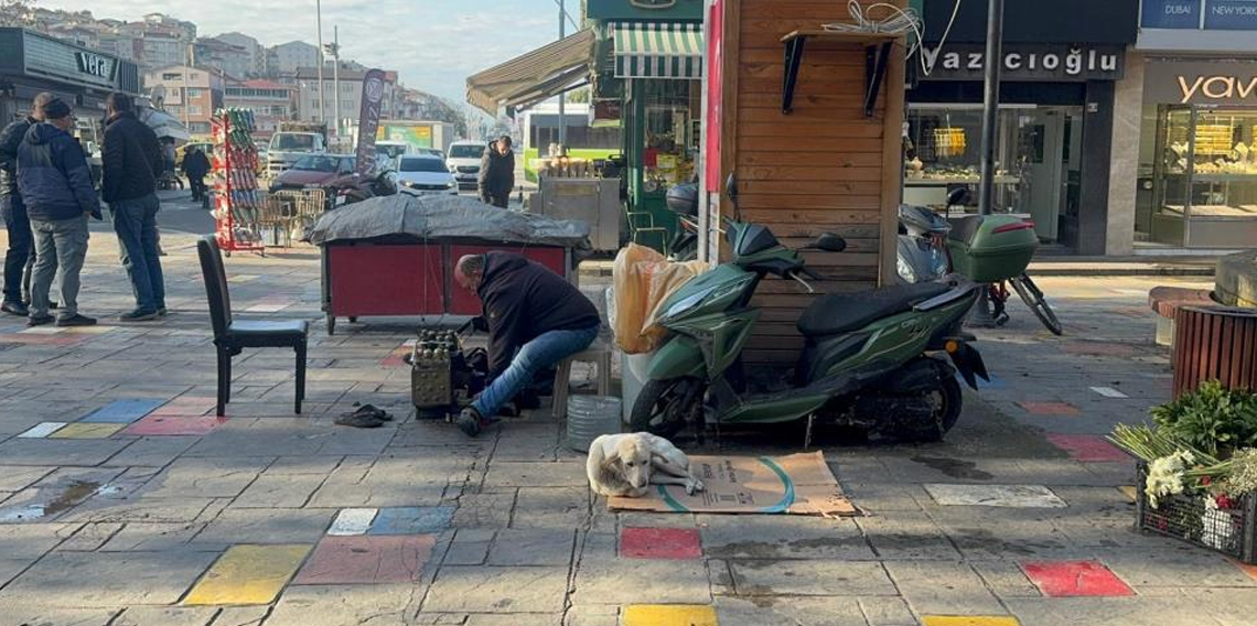Hayata tutunan engelli köpeğe bebek gibi bakıyor