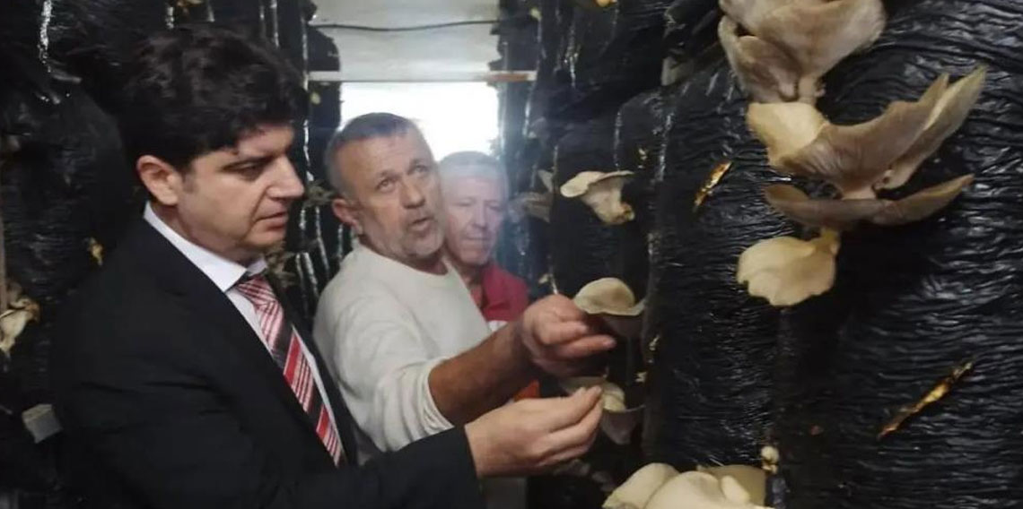 Sinop’ta mantar yetiştiriciliği eğitimi